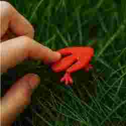 Jumping articulated frog-Strong jump!!!