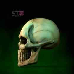 Kafatası (yüksek poli)