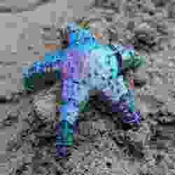 Starflex - Beautiful Flexi Starfish. Free! Easy to Print!