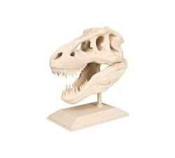 T-Rex Kafatası
