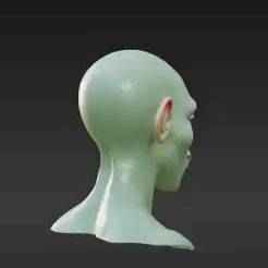 Advanced Galactic Species Head Sculpt for Custom 6" 7" Figures - Highly Detailed, Pointed Jawline, Space Opera Accessory