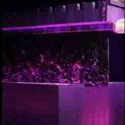 Aquarium Algae Scrubber