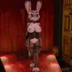 Bunny in corset