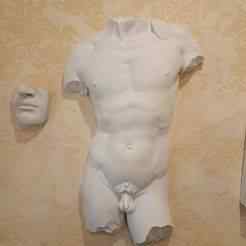 David Torso Fragment