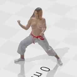 defense busty karate girl nude topless punch
