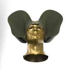 Drone Catcher – Hearing Amplifier