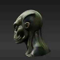 Elite Galactic Operative Head - Highly Detailed 3D Printable Sci-Fi Figure Accessory - Somber Alien Expression