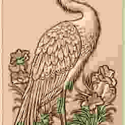 Heron