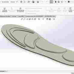 Insole for shoes