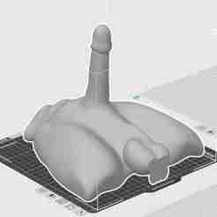 male bust with penis