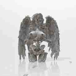 Sexy Dead angel Girl with Vagina and Ribs Exposed – Gore Bust 3D Print