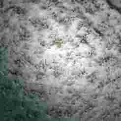 Snowy Ground PBR Texture