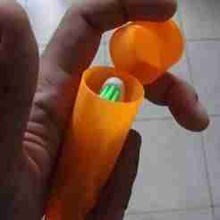 Toothbrush Case (vase mode)