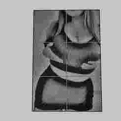 WALL ART - a woman in a black top and shorts posing for the camera.