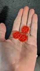 Live laugh lobotomy Wallmount