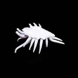 Monster Hunter - Scarab's Blessing