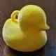duck_scout_scarfs_holder