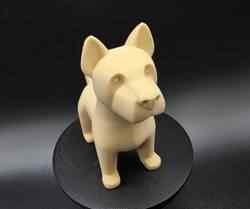 Terrier