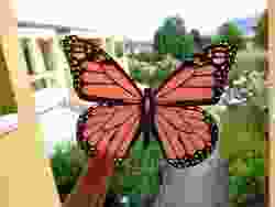 Under-shelf Nespresso / Coffee Pod Holder