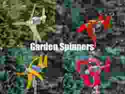 Windwheel - 100% printable - no support - no bearings - low friction - video