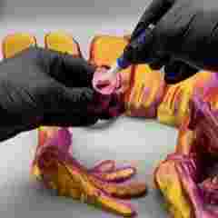 XXL Axolotl - Members Exclusive