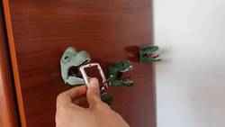 ANAHTARLIK - DINOZORLAR