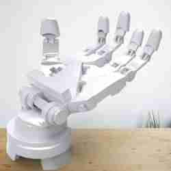 Robotic hand