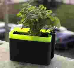 Kendinden sulamalı dikdörtgen saksı (isteğe bağlı etiketlerle)