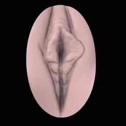 3D Pussy Art (V6) Wall Art
