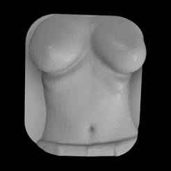 3D Topless Woman Torso - Nude Sexy Wall Art (Boob Art V2)