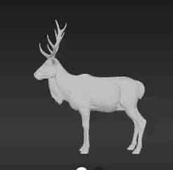 Arctic Reindeer Display Figure STL - Nature Inspired Collectible