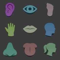 Body parts Meeple Silhouettes Collection – 3D Printable Game Tokens