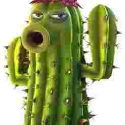 CACTUS PVZ