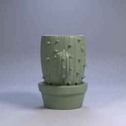 Cute Cactus Pen Holder – Smiling Succulent Desk Organizer, Home Decor STL File, 3D STL Digital Download, Gift Idea