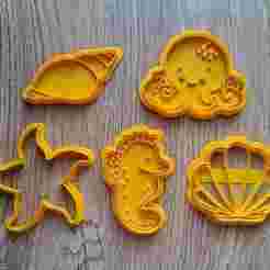 Cutter octopus, star, seahorse, snail, oyster