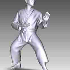 From the series Eastern Martial Arts 15