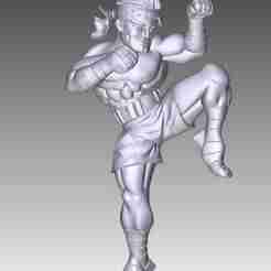 From the series Eastern Martial Arts 7