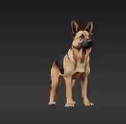 Loyal Outdoor Canine on Rugged Rock – Realistic Adventure Dog 3D Print