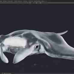 Manta rays - 3d printable files