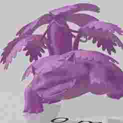 Mega Venusaur Pokemon