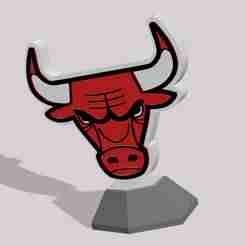 NBA_ChicagoBulls shield