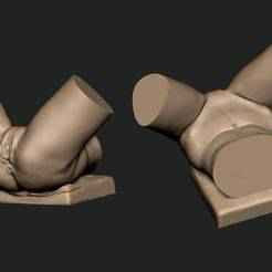 Pelvic Area Lying down Anatomy