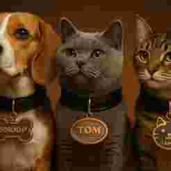 Safety and Charm: 50 STL Files of Name Tags for Your Pet