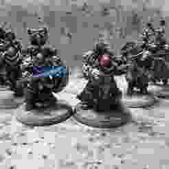 Star Vikings Well Seasoned Guards of the Blade