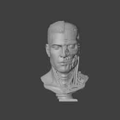 Terminator V1 Bust