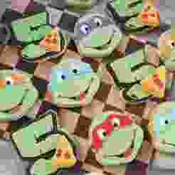 TMNT Number 5