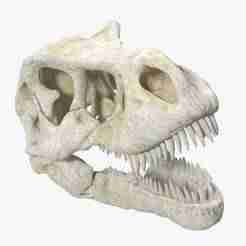 Tyrannosaurus Rex 3D Skull