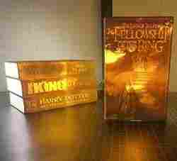 Dragon Head Wall Bust (Supportless Print)