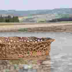 Bowl v7 (bigger more robust)