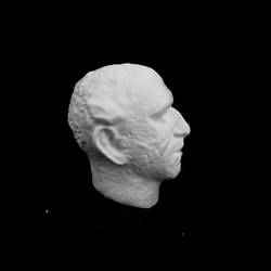 Bust of Professor Lord Zuckerman at The Sainsbury Centre for Visual Arts, Norwich